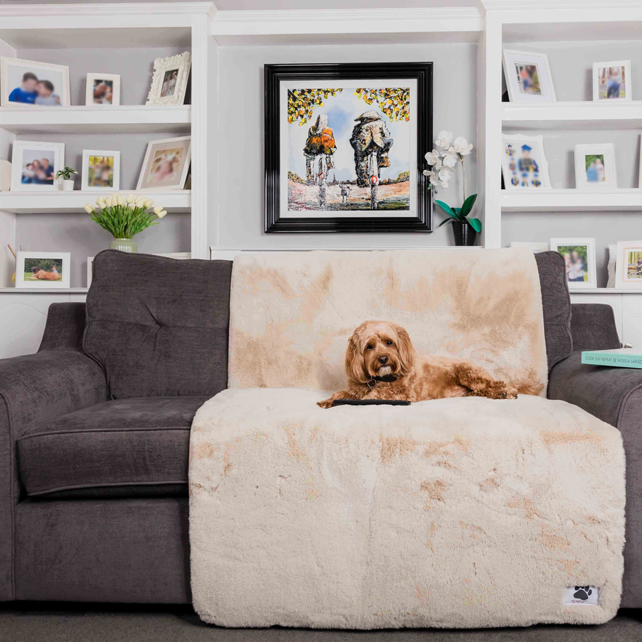 Pet Rebellion — dog on sofa with blanket